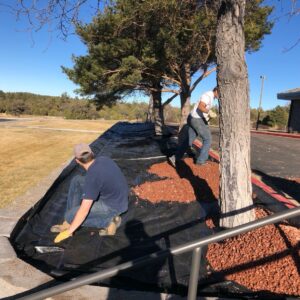 Landscaping workers installing weed suppression on a garden