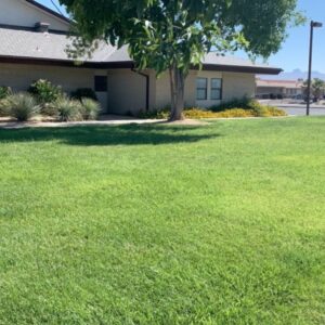 Example of well maintained lush green grass landscaping