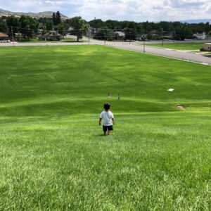 Small child overlooking a field of lush green grass