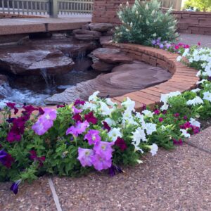 Attractive flowers in a garden with a landscaped pond